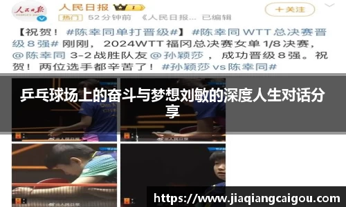 乒乓球场上的奋斗与梦想刘敏的深度人生对话分享
